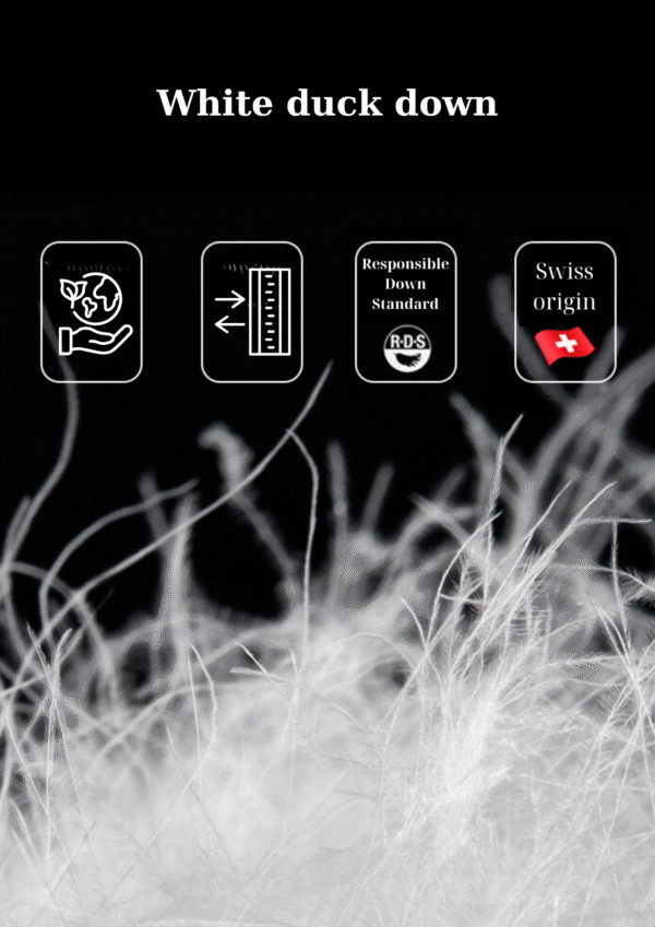 Korean Chic Down Jacket - Padronn