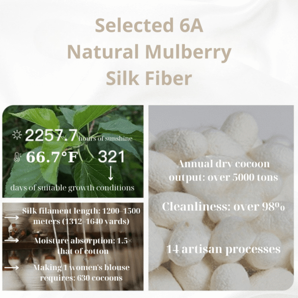 Lumière Silk Shirt - Padronn