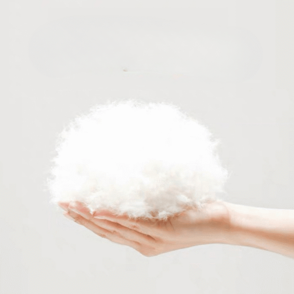 Vanta Curve Puffer - Padronn